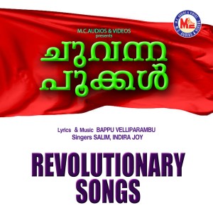 ดาวน์โหลดและฟังเพลง Kasargote Ninnum พร้อมเนื้อเพลงจาก Salim