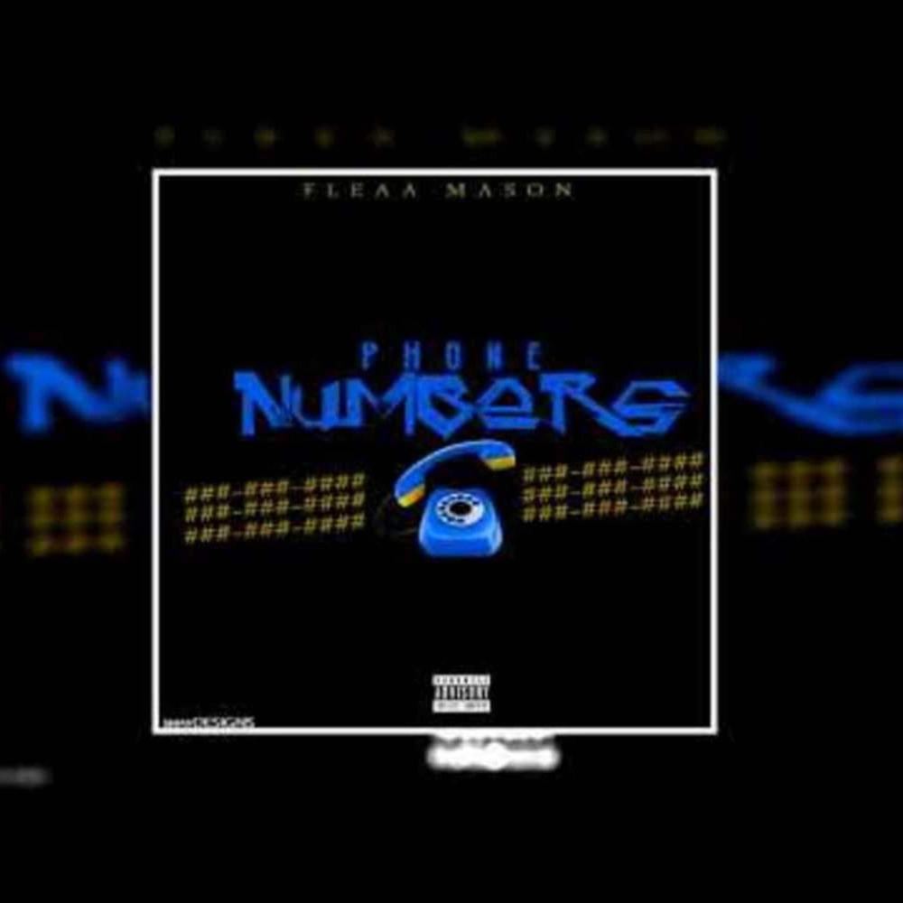 Phone Numbers (Explicit)