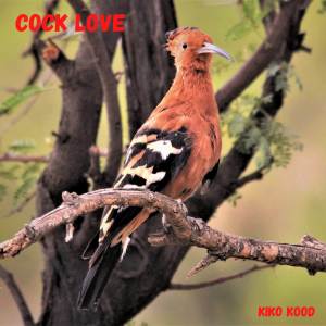 收聽Kiko Kood的Cock Love歌詞歌曲