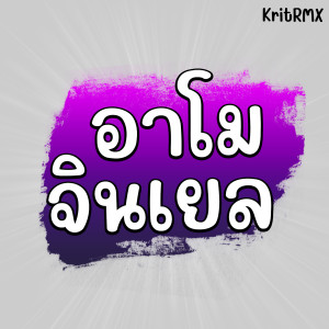 Listen to อาโมจินเยล (Instrumental) song with lyrics from KritRMX
