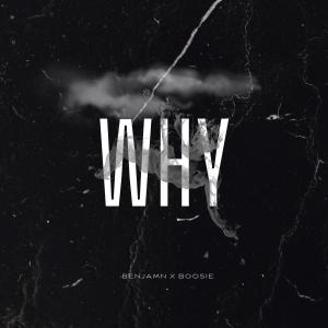 Why (feat. Boosie Badazz) [Explicit]