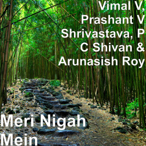 收听Vimal V的Meri Nigah Mein歌词歌曲