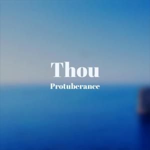 ดาวน์โหลดและฟังเพลง Thou Protuberance พร้อมเนื้อเพลงจาก Forland Seno