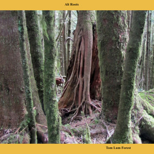 Listen to One Tree Hill song with lyrics from Tom Lum Forest