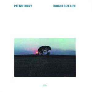 收聽Pat Metheny的Round Trip / Broadway Blues歌詞歌曲