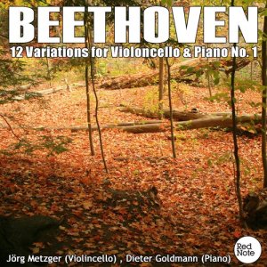 Jorg Metzger的專輯Beethoven: 12 Variations for Cello & Piano No. 1