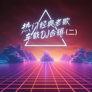 莊心妍的專輯熱門經典老歌車載DJ合輯(二)