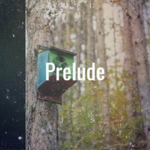 Listen to Prelude song with lyrics from Erich Wolfgang Korngold