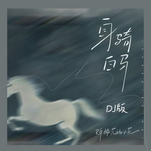 Album 身骑白马 (Pay姐DJ版) oleh 弹棉花的小花