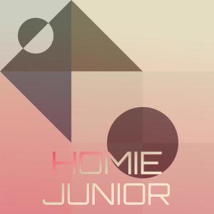 Homie Junior dari Various