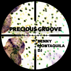 Album Precious Groove from Benny Montaquila DJ