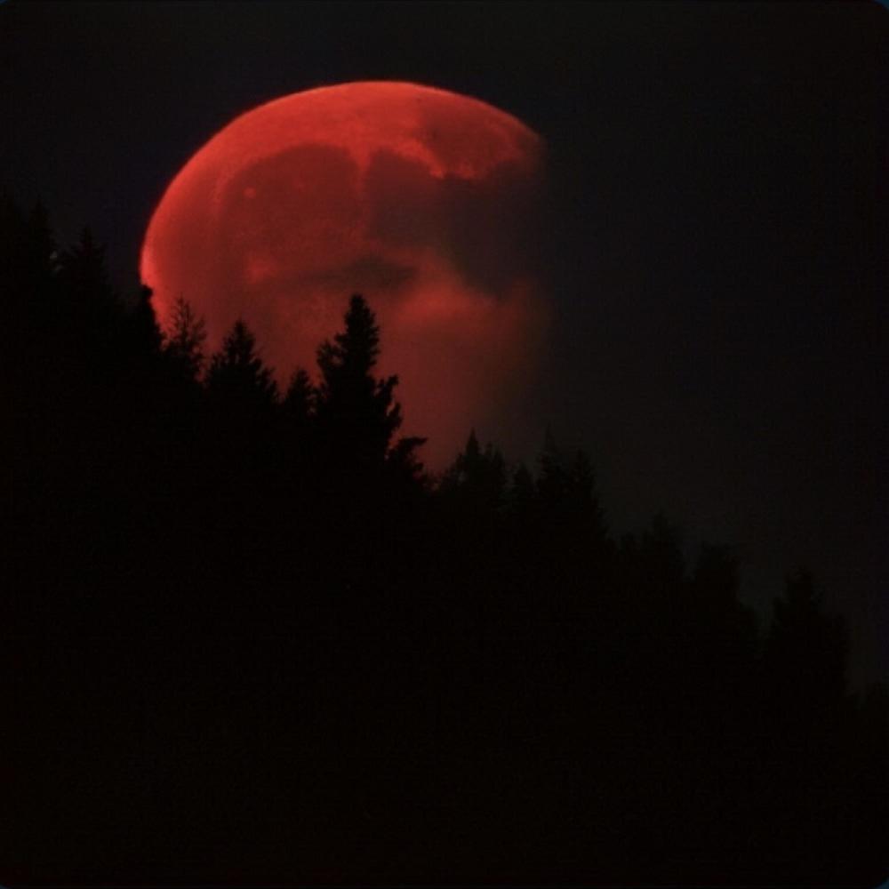 Lone wolf (Explicit)