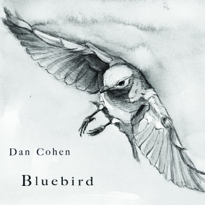 Dan Cohen的專輯Bluebird