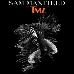 Tmz (Explicit) dari Sam Maxfield
