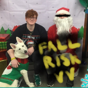 Album Fall Risk from VV