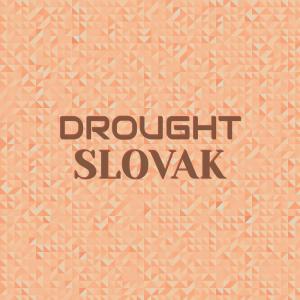 Various Artists的專輯Drought Slovak