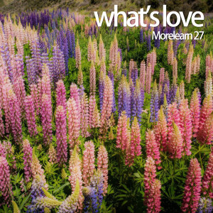 Album What's Love oleh MoreLearn 27