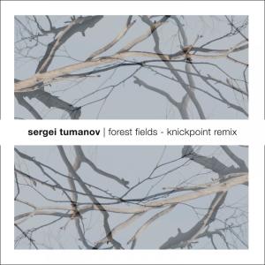 ดาวน์โหลดและฟังเพลง Forest fields (Knickpoint Remix) พร้อมเนื้อเพลงจาก Sergei Tumanov
