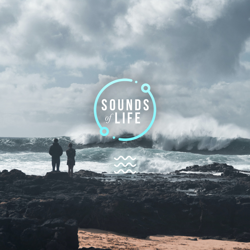 Extremely Windy Beach and Human Traffic, Pt. 32
