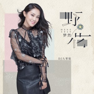 Album 野花(DJ九零版) from 梦然