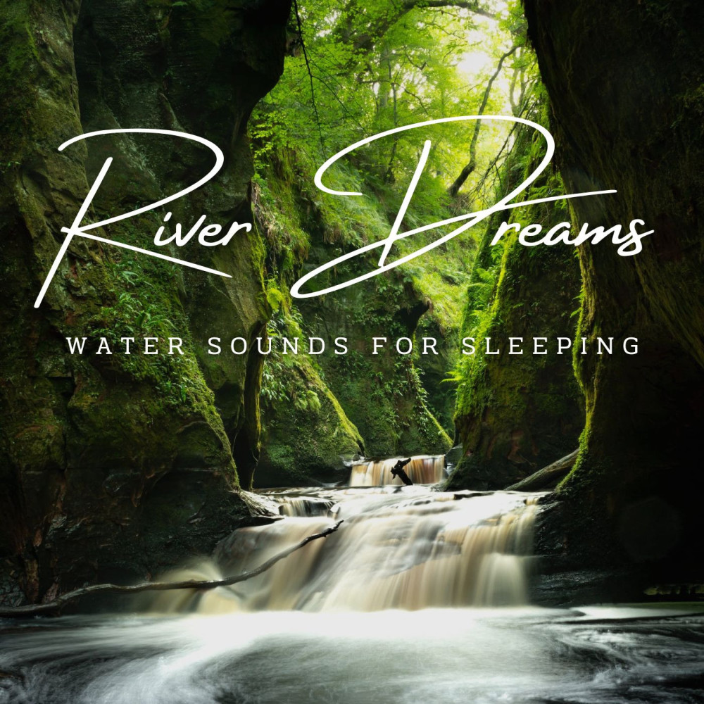 River's Nighttime Harmony