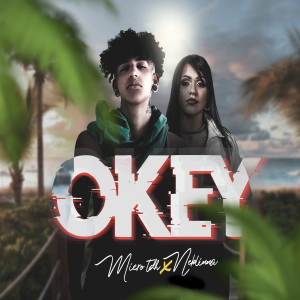 ดาวน์โหลดและฟังเพลง Okey พร้อมเนื้อเพลงจาก Micro TDH