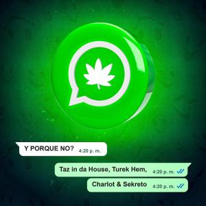 ดาวน์โหลดและฟังเพลง Y porque no? (feat. Turek Hem, Sekreto & Charlot) (Explicit) พร้อมเนื้อเพลงจาก taz in da house