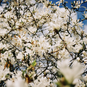 ดาวน์โหลดและฟังเพลง Malpensa พร้อมเนื้อเพลงจาก Paradis