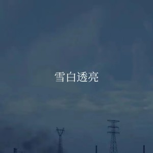 Album 雪白透亮 from Gala