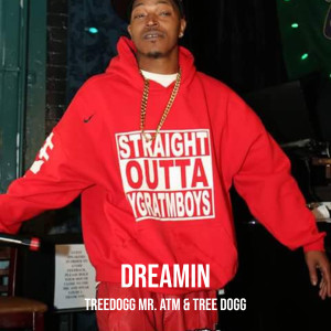 Album Dreamin (Explicit) from Treedogg Mr. ATM