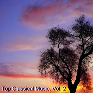 Album Top Classical Music, Vol. 2 from Vladimir Yampolsky
