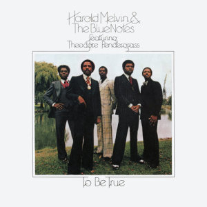 收聽Harold Melvin & The Blue Notes的Nobody Could Take Your Place歌詞歌曲