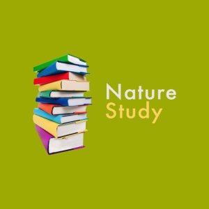 ดาวน์โหลดและฟังเพลง Brook Bird Song พร้อมเนื้อเพลงจาก Outside Broadcast Recordings