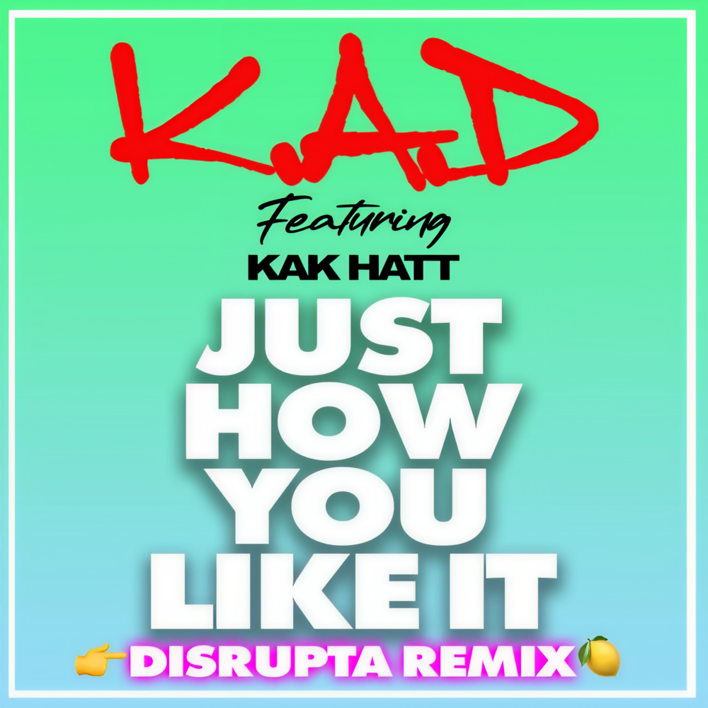 Just How You Like It (Disrupta Remix|Explicit)