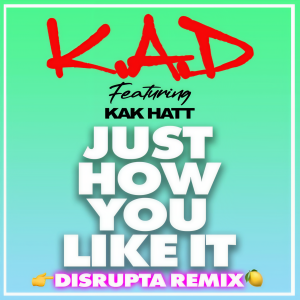 收聽K.A.D的Just How You Like It (Disrupta Remix|Explicit)歌詞歌曲