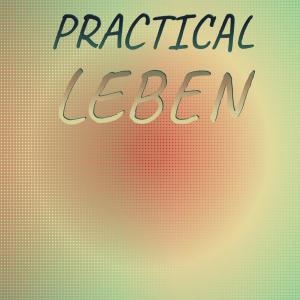 Listen to Veldt Pan song with lyrics from Tita Mster