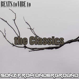 Album Beats to Vibe to (The Classics) from Sonz From Underground