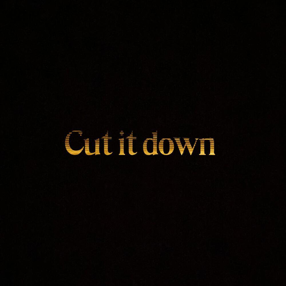 Cut It Down (Explicit)