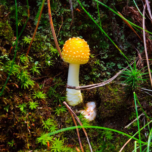 ดาวน์โหลดและฟังเพลง yellow patches พร้อมเนื้อเพลงจาก Galen Tipton