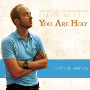Dengarkan lagu There Is No One Else Like You nyanyian Joshua Aaron dengan lirik