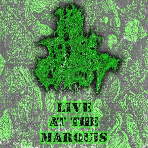 ดาวน์โหลดและฟังเพลง TOXIC ORPHAN (LIVE AT THE MARQUIS) พร้อมเนื้อเพลงจาก 10 TO THE CHEST