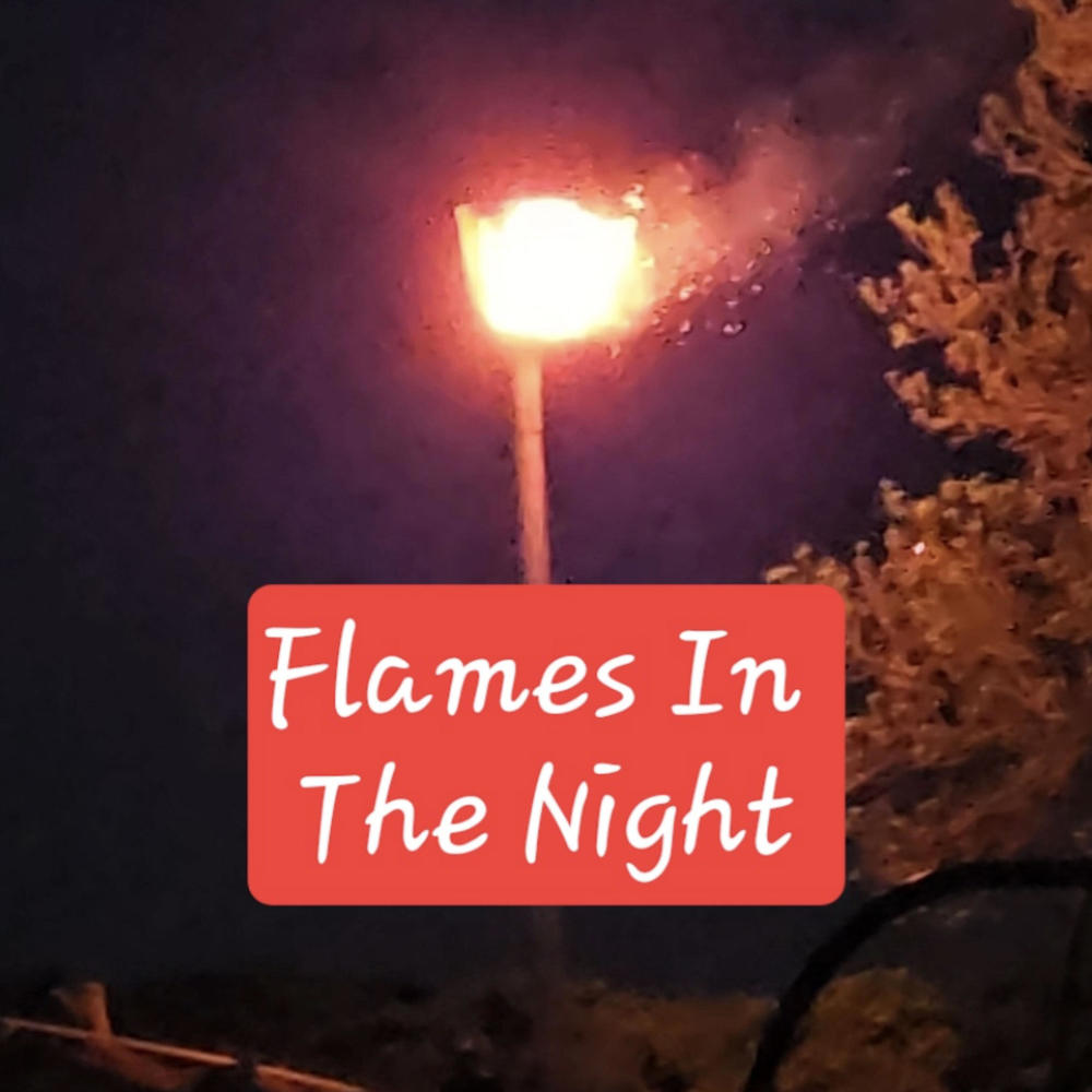 Flames In the Night