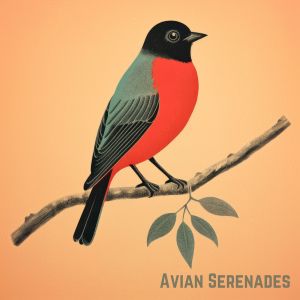 Album Avian Serenades from Bird Sounds