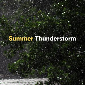 Album Summer Thunderstorm from Sounds of Thunder and Rain