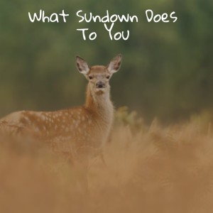 Dengarkan lagu Beat Love nyanyian Tom And Jerry dengan lirik