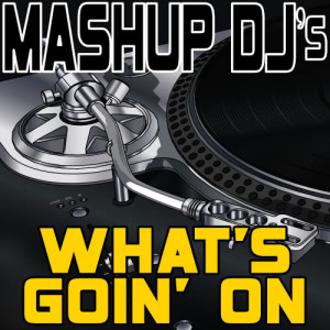 ดาวน์โหลดและฟังเพลง What’s Goin' On (Original Radio Mix) [Re-Mix Tool] (Re-Mix Tool) พร้อมเนื้อเพลงจาก Mashup DJ's
