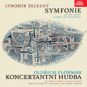 收听Chamber Harmonia Orchestra的Symphony for Small Orchestra: I. Molto allegro, giocoso歌词歌曲