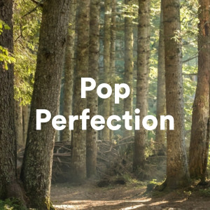 Various的專輯Pop Perfection (Explicit)
