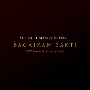 Album Bagaikan Sakti (OST Puteri Gunung Ledang) from Dato Siti Nurhaliza