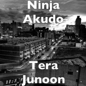 Album Tera Junoon from Ninja Akudo